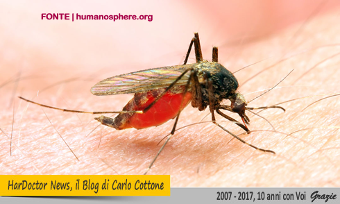 Malaria: appello dei ricercatori al Governo italiano